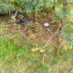 Sprzątanie Świata – Polska 2025