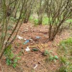 Sprzątanie Świata – Polska 2025