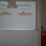 Dzień Zdrowia i Profilaktyki (25)