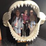 oplus_8388640